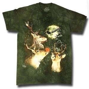 Reindeer Christmas SS TShirt
