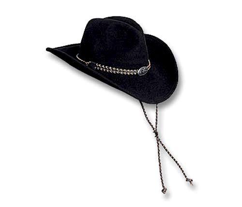 toby keith style cowboy hat