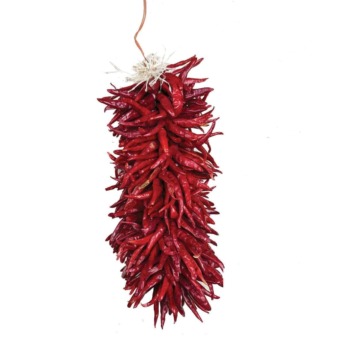 Twelve Inch Chile Ristra - Southwest Indian Foundation - 5909