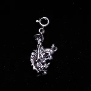 Bucking Bronco Charm