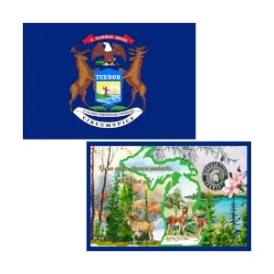 Michigan Flag