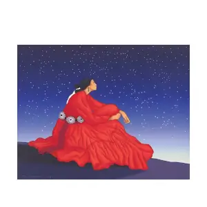 Navajo Velvet Framed Canvas Print