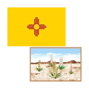 New Mexico Flag