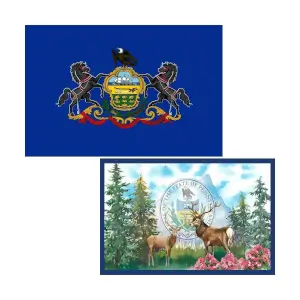 Pennsylvania Flag