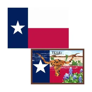 Texas Flag